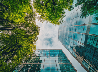 MBA em ESG e Transição para a Economia de Baixo Carbono