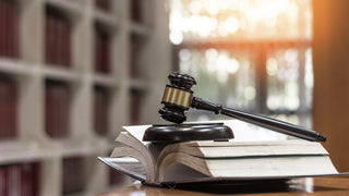 Mestrado Acadêmico em Direito Constitucional